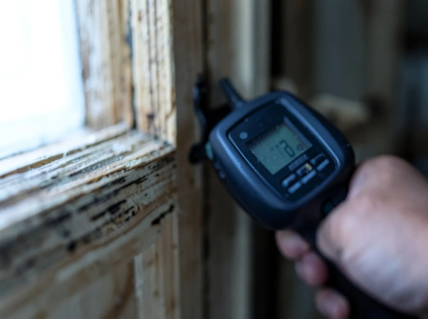 Moisture Inspection And Documentation in Reed Point, MT